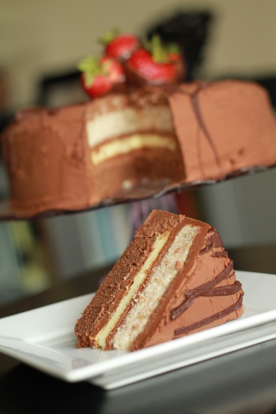 Neapolitan Cheesecake Cake