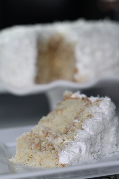 Coconut Cake Slice
