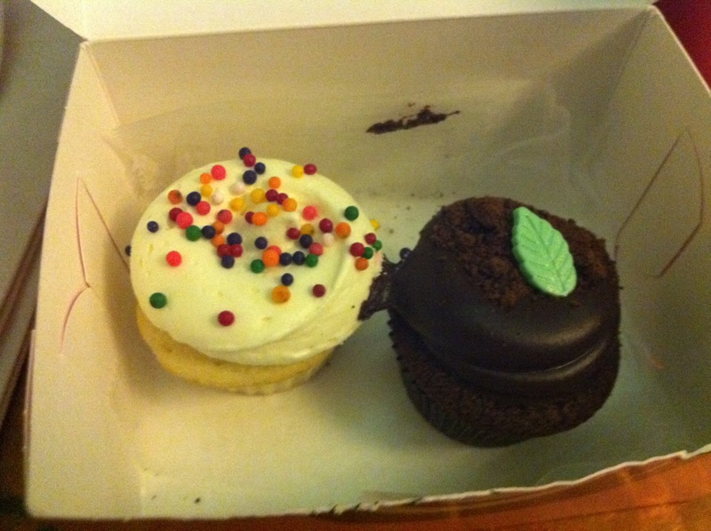 Georgetown Vanilla and Choc Mint