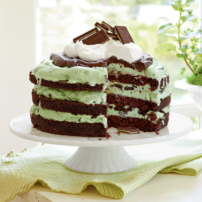 Mint Chocolate Chip Ice Cream Cake