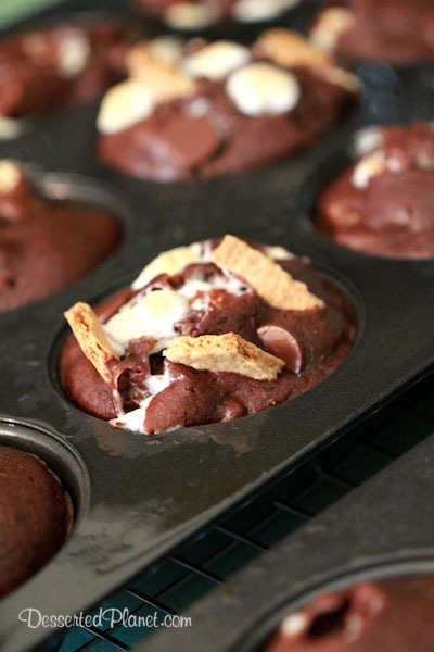 Chocolate S'mores Muffins in Pan
