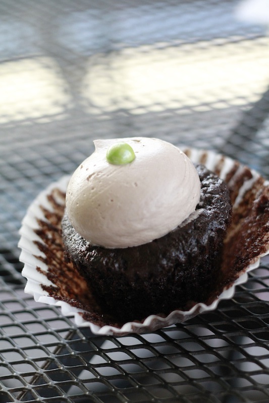 Sugarjones Chocolate with Chocolate Frosting