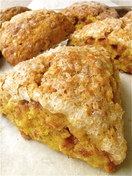 Pumpkin Scones