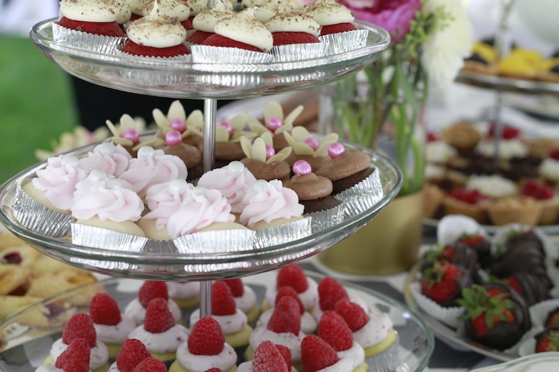 Vanilla and Chocolate Mini Cupcakes