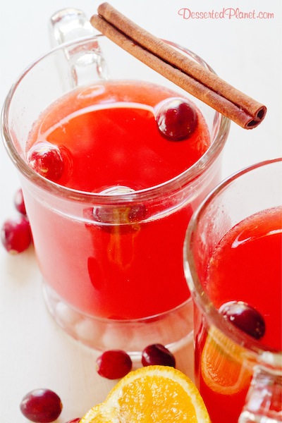 Cranberry Cinnamon Punch and Cinnamon Stick