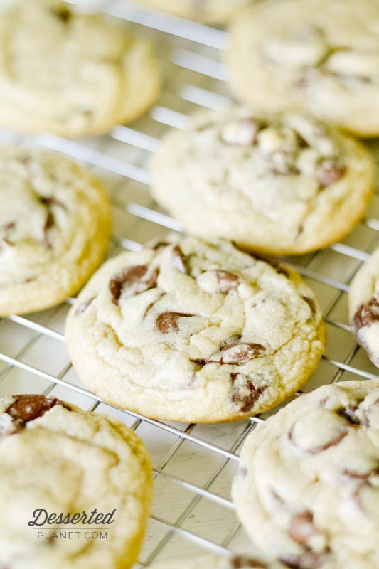 The Perfct Chocolate Chip Cookie