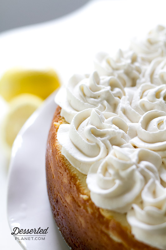 NY Style Lemon Cheesecake Close