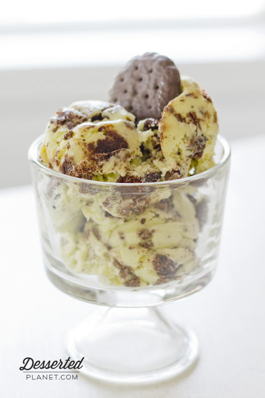 Thin-Mint-Brownie-Ice-Cream